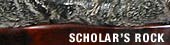 Button: Scholars Rock